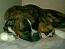 Berta y Estrellita