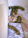 Cachorros